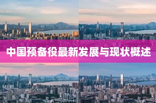 中国预备役最新发展与现状概述