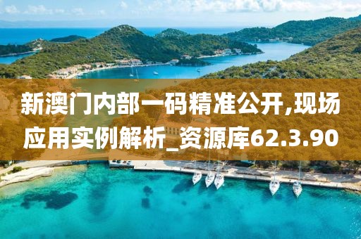 新澳门内部一码精准公开,现场应用实例解析_资源库62.3.90