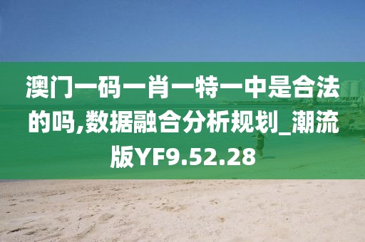 澳门一码一肖一特一中是合法的吗,数据融合分析规划_潮流版YF9.52.28