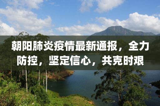 朝阳肺炎疫情最新通报，全力防控，坚定信心，共克时艰