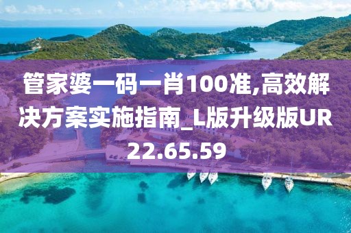 管家婆一码一肖100准,高效解决方案实施指南_L版升级版UR22.65.59