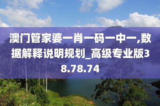 澳门管家婆一肖一码一中一,数据解释说明规划_高级专业版38.78.74
