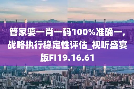管家婆一肖一码100%准确一,战略执行稳定性评估_视听盛宴版FI19.16.61
