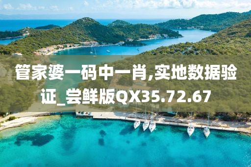 管家婆一码中一肖,实地数据验证_尝鲜版QX35.72.67