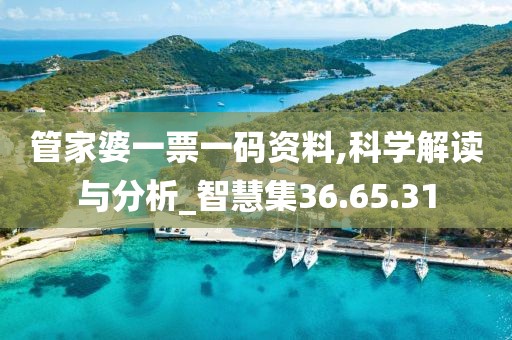 管家婆一票一码资料,科学解读与分析_智慧集36.65.31