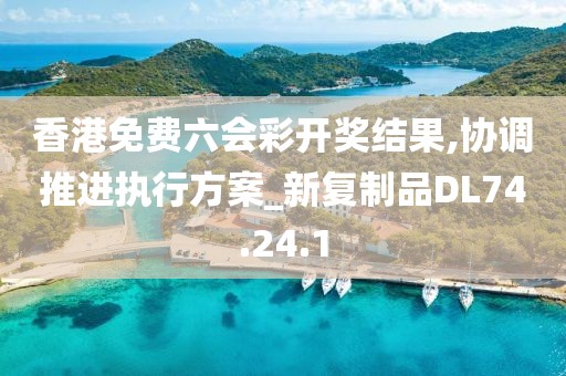 香港免费六会彩开奖结果,协调推进执行方案_新复制品DL74.24.1