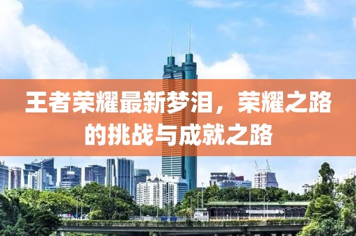 王者荣耀最新梦泪，荣耀之路的挑战与成就之路