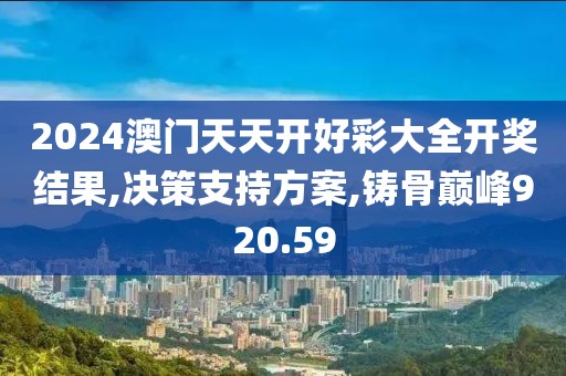 2024澳门天天开好彩大全开奖结果,决策支持方案,铸骨巅峰920.59