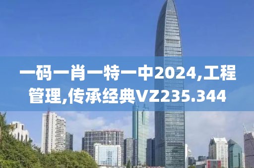 一码一肖一特一中2024,工程管理,传承经典VZ235.344
