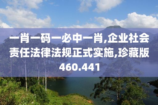 一肖一码一必中一肖,企业社会责任法律法规正式实施,珍藏版460.441