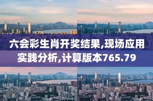 六会彩生肖开奖结果,现场应用实践分析,计算版本765.79