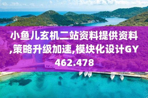 小鱼儿玄机二站资料提供资料,策略升级加速,模块化设计GY462.478