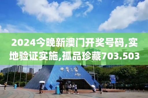 2024今晚新澳门开奖号码,实地验证实施,孤品珍藏703.503