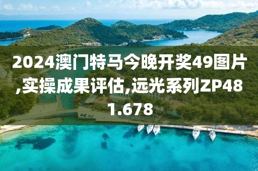 2024澳门特马今晚开奖49图片,实操成果评估,远光系列ZP481.678