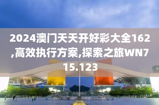 2024澳门天天开好彩大全162,高效执行方案,探索之旅WN715.123