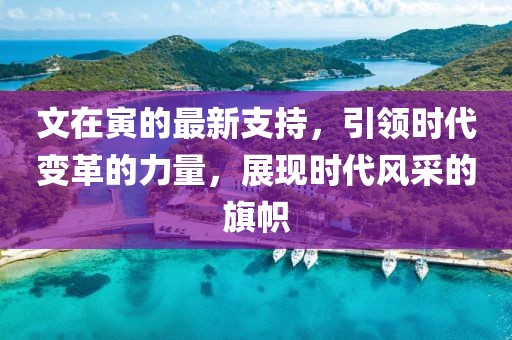 文在寅的最新支持，引领时代变革的力量，展现时代风采的旗帜