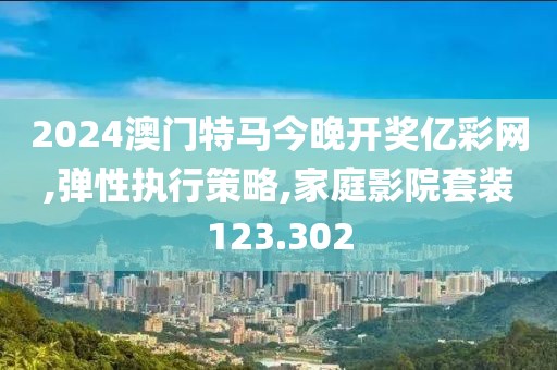 2024澳门特马今晚开奖亿彩网,弹性执行策略,家庭影院套装123.302