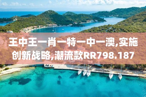 王中王一肖一特一中一澳,实施创新战略,潮流款RR798.187