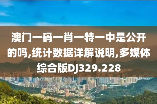 澳门一码一肖一特一中是公开的吗,统计数据详解说明,多媒体综合版DJ329.228