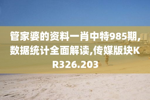 管家婆的资料一肖中特985期,数据统计全面解读,传媒版块KR326.203
