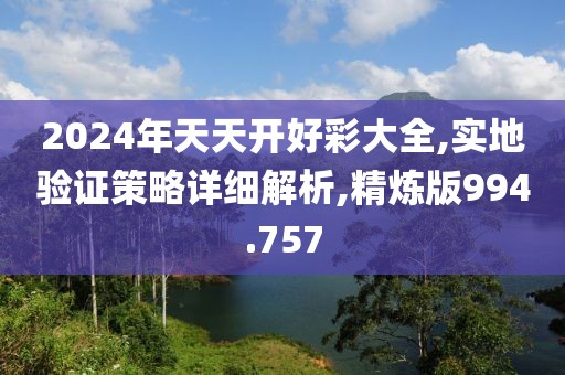 2024年天天开好彩大全,实地验证策略详细解析,精炼版994.757