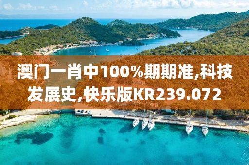 澳门一肖中100%期期准,科技发展史,快乐版KR239.072