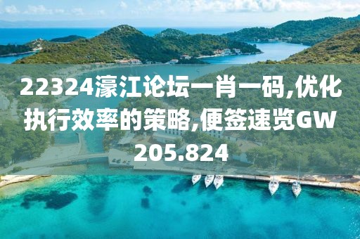 22324濠江论坛一肖一码,优化执行效率的策略,便签速览GW205.824
