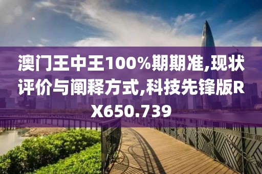 澳门王中王100%期期准,现状评价与阐释方式,科技先锋版RX650.739