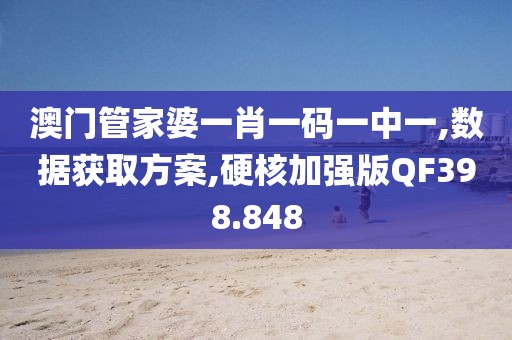 澳门管家婆一肖一码一中一,数据获取方案,硬核加强版QF398.848