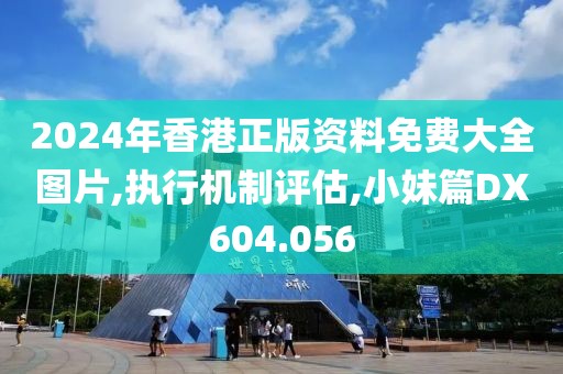 2024年香港正版资料免费大全图片,执行机制评估,小妹篇DX604.056