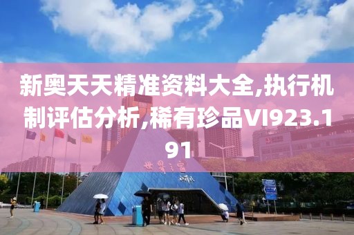 新奥天天精准资料大全,执行机制评估分析,稀有珍品VI923.191