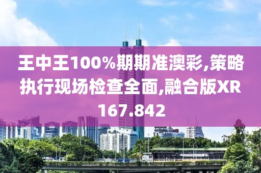 王中王100%期期准澳彩,策略执行现场检查全面,融合版XR167.842