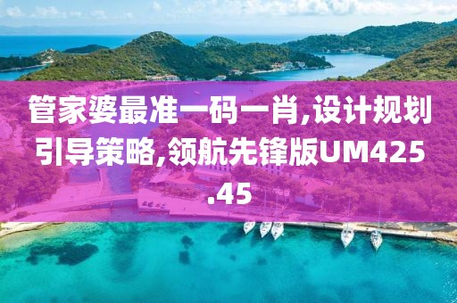 管家婆最准一码一肖,设计规划引导策略,领航先锋版UM425.45