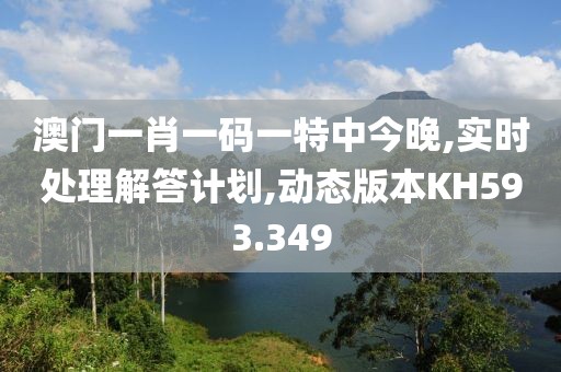 澳门一肖一码一特中今晚,实时处理解答计划,动态版本KH593.349