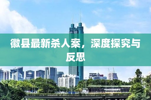 徽县最新杀人案，深度探究与反思