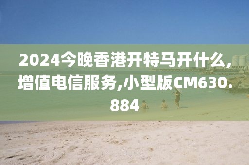 2024今晚香港开特马开什么,增值电信服务,小型版CM630.884
