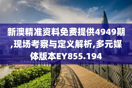 新澳精准资料免费提供4949期,现场考察与定义解析,多元媒体版本EY855.194