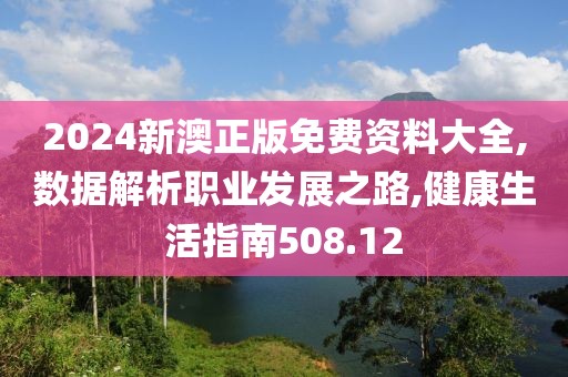 2024新澳正版免费资料大全,数据解析职业发展之路,健康生活指南508.12