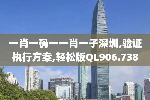 一肖一码一一肖一子深圳,验证执行方案,轻松版QL906.738