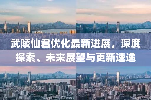 武陵仙君优化最新进展，深度探索、未来展望与更新速递
