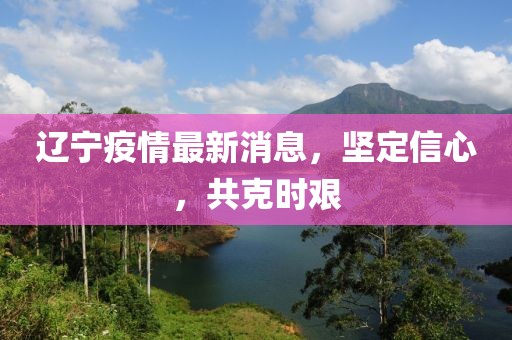 辽宁疫情最新消息，坚定信心，共克时艰