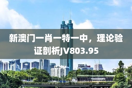 新澳门一肖一特一中，理论验证剖析JV803.95