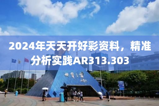 2024年天天开好彩资料，精准分析实践AR313.303
