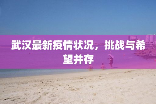 武汉最新疫情状况，挑战与希望并存