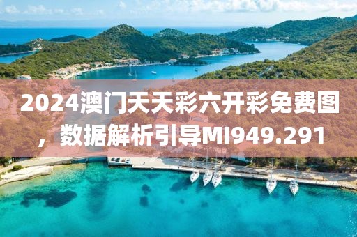 2024澳门天天彩六开彩免费图，数据解析引导MI949.291