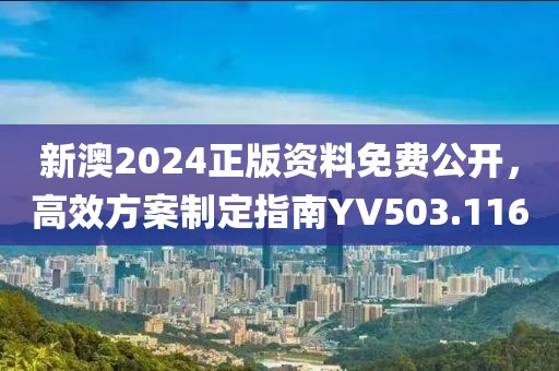 新澳2024正版资料免费公开，高效方案制定指南YV503.116