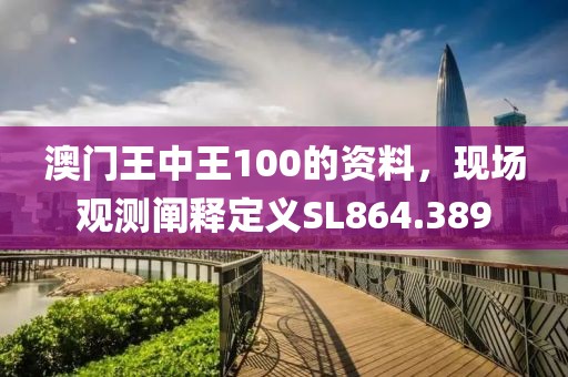 澳门王中王100的资料，现场观测阐释定义SL864.389
