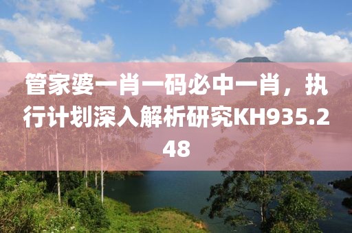 管家婆一肖一码必中一肖，执行计划深入解析研究KH935.248