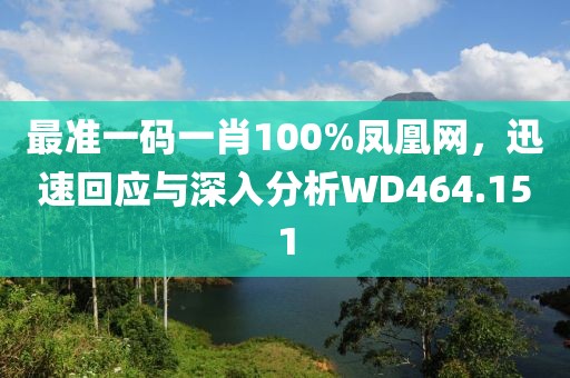 最准一码一肖100%凤凰网，迅速回应与深入分析WD464.151