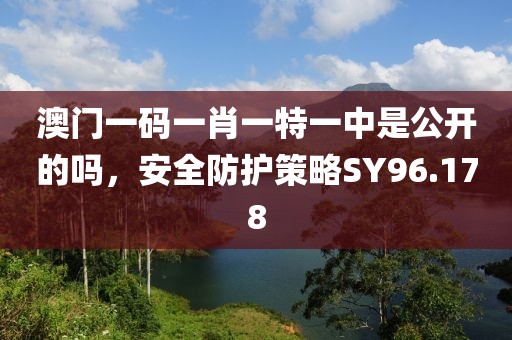 澳门一码一肖一特一中是公开的吗，安全防护策略SY96.178